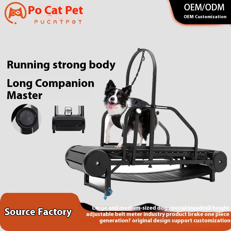 Special treadmill for large and medium-sized dogs, height adjustable with pedometer and brake, dog treadmill