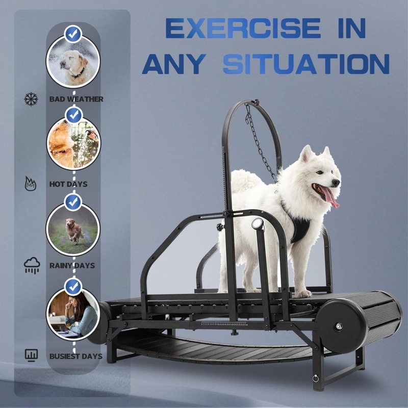 Special treadmill for large and medium-sized dogs, height adjustable with pedometer and brake, dog treadmill