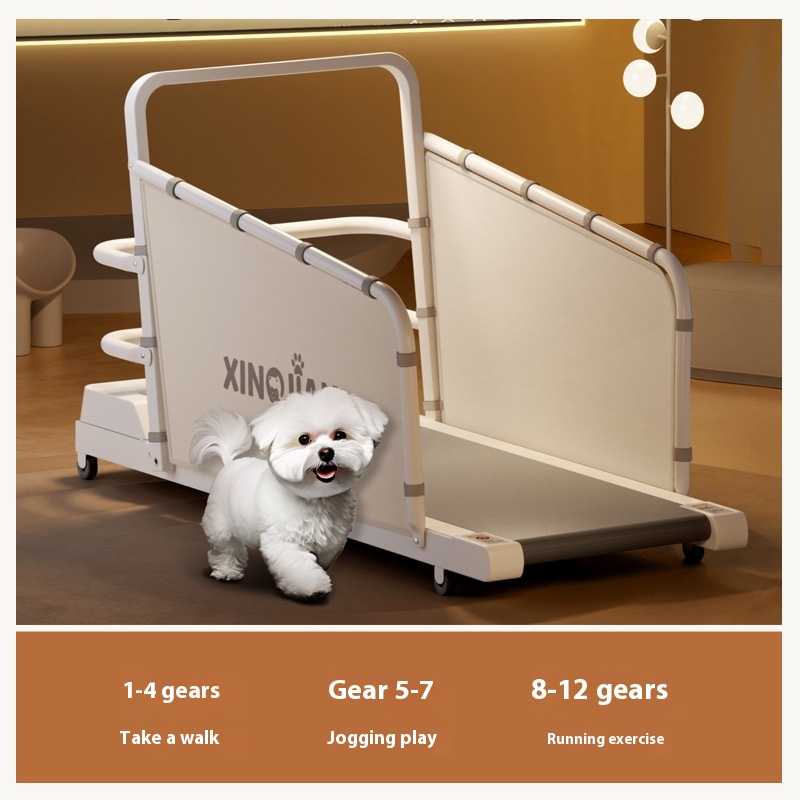 Dog treadmill dog cat treadmill Bichon Teddy Corgi pet treadmill medium and small dog walking machine